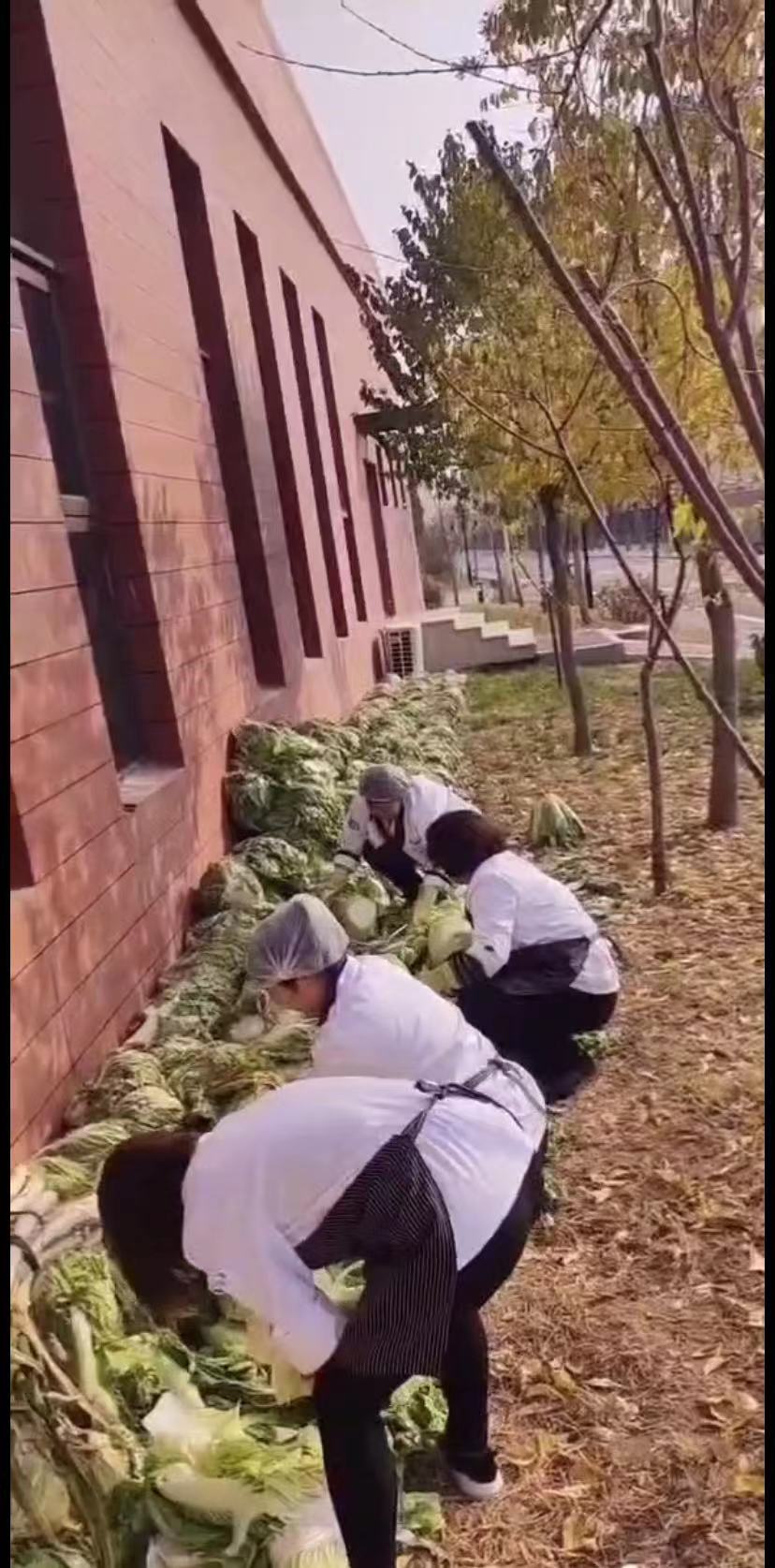 &#21326;&#20159;&#24179;&#21488;&#45;&#21326;&#20159;&#65288;&#20013;&#22269;&#65289;&#19968;&#31449;&#24335;&#26381;&#21153;&#24179;&#21488;